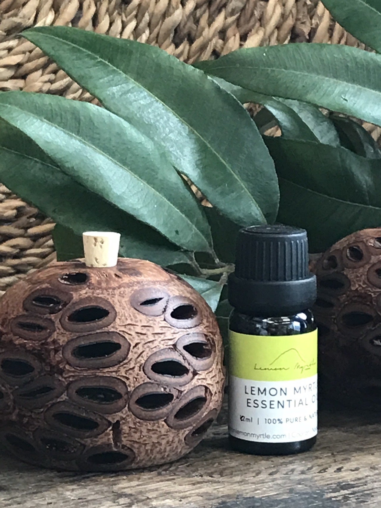 Lemon Myrtle Essential Oil with Mini Banksia Pod Diffuser