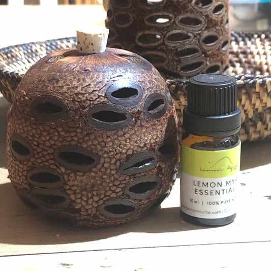 Lemon Myrtle Essential Oil with Banksia Pod Diffuser